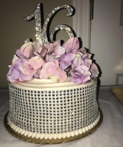 Ella Celebration 16 Cake Topper 16th Birthday Sweet 16 Party Supplies Decoration Ideas Silver Rhinestone Number (Silver) 35 81F2UoRZRlL