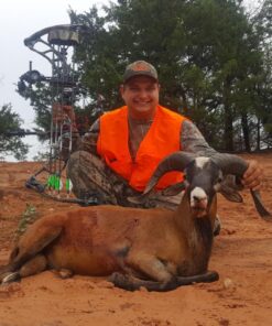 Rage Extreme 4 Blade Arrow Archery Broadhead, 100 Grain - 2 Pack 26 81F2sab kuL