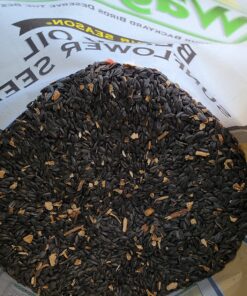 Wagner's 76029 Black Oil Sunflower Seed Wild Bird Food, 40-Pound Bag 29 81F3lWg5BrL