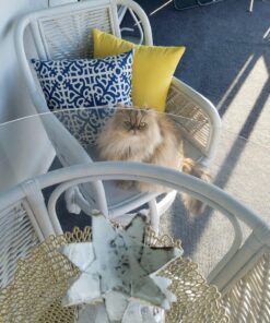 Greendale Home Fashions Outdoor Accent Pillows, Indigo, Set of 2 27 81FAgpQpXFL