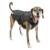 Kurgo North Country Dog Coat, Dog Winter Jacket, Waterproof Dog Jacket, Dog Snow Jacket and Windproof Dog Coat, Reflective Dog Fleece L (Neck: 23", Girth: 30"-39", Back: 24") Black 28 81FEaQXwe7L