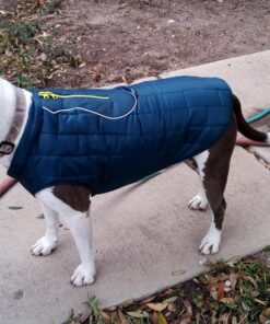 Kurgo Loft Dog Jacket, Reversible Dog Coat, Wear with Harness or Sweater, Water Resistant, Reflective, Winter Coat For Large Dogs (Ink Blue, L) Ink Blue/Seaglass 41 81FEv2hjEGL