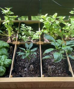 VegTrug 8 Pocket Herb Garden Brown 48 81FG8yCnStL