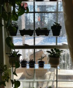 Beautiful Views Hanging Window Plant Shelves (4 Shelves) 4 Shelves 20"x6"x54" 37 81FL1X98VVL