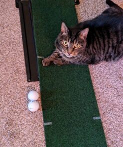 Club Champ Gravity Feed Putting System, 7 Feet 26 81FMBpVK9L