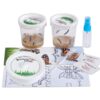 10 Live Caterpillars Shipped Now: Butterfly Kit Refill 12 81FMHbgD3L