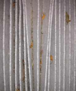 FRAM Fresh Breeze Cabin Air Filter Replacement for Car Passenger Compartment w/ Arm and Hammer Baking Soda, Easy Install, CF10134 for Honda Vehicles 52 81FT2CMbFaL