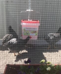 RentACoop 2 Gallon Chicken BPA-Free Plastic Bucket Waterer Set with 4 Horizontal Nipples - Center Placement 29 81FYic2sJOL