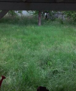 BLACK+DECKER 20V MAX String Trimmer/Edger Kit, 10-Inch (LST201) 33 81FZqMIE8CL