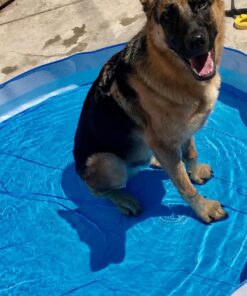 Intex Snorkel Buddies Snapset Pool - 5'X10" (Style May Vary) 27 81FaftSv oL