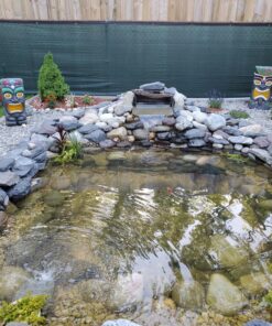 API POND ACCU-CLEAR Pond Water Clarifier 16-Ounce Bottle Pond Treatment 16 oz 25 81FhAA5BYtL