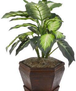 Nearly Natural 6592-05 Golden Dieffenbachia with Wood Vase Decorative Silk Plant, Green 5 81Fj4wcXe3S
