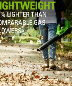 Greenworks 40V (115 MPH / 430 CFM) Brushless Axial Leaf Blower, 2.0Ah Battery and Charger Included Brushless Blower (2.0Ah) 22 81FkqSJfYUS 1