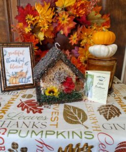 Edible Birdhouses | Reseedable Wooden Birdhouse Covered w/Birdseed | Squirrel Proof Bird Feeder | Made in The USA (SD) Short Dark Roof 34 81FmozNvVL