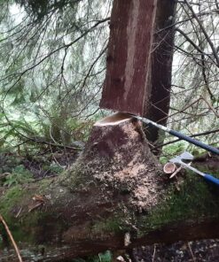 Silky KATANABOY Professional 500mm Folding Saw XL Teeth (403-50) 40 81FqMFUJdGL