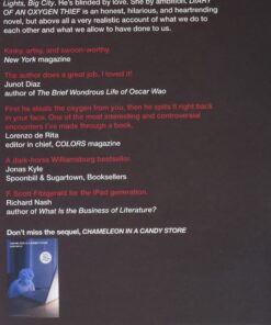 Alternative view of Diary of an Oxygen Thief (1) (The Oxygen Thief Diaries)