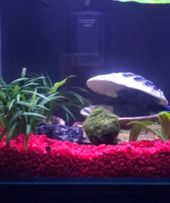 MarineLand Contour Glass Aquarium Kit with Rail Light 3-gallon 48 81FsabxH2DL