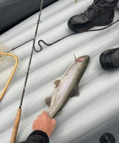 INTEX Excursion Inflatable Boat Series: Includes Deluxe 54in Aluminum Oars and High-Output Pump – SuperStrong PVC – Adjustable Seats with Backrest – Fishing Rod Holders – Welded Oar Locks 4-Person 42 81Fu6YSk3vL