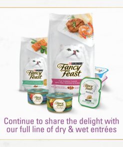 Purina Fancy Feast Dry Cat Food with Savory Chicken and Turkey - 12 lb. Bag Chicken & Turkey 12 Pound (Pack of 1) 29 81FwkDFkQ3L