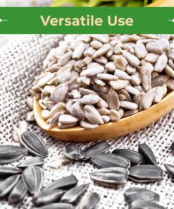 Sincerely Nuts Organic Sunflower Seed Kernels Raw (No Shell) (1lb bag) | Nutritious Antioxidant Rich Superfood Snack | Source of Protein, Fiber, Essential Vitamins & Minerals | Vegan and Gluten Free 1 Pound (Pack of 1) 14 81Fxh27 kL