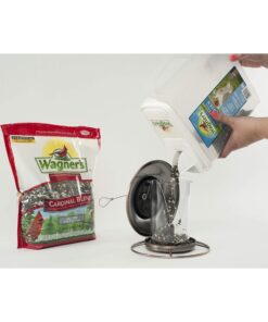 Wagner's 62032 Cardinal Blend Wild Bird Food, 6-Pound Bag 1-Pack 23 81FyCWabtNL