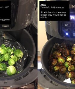 Ninja AF101 Air Fryer that Crisps, Roasts, Reheats, & Dehydrates, for Quick, Easy Meals, 4 Quart Capacity, & High Gloss Finish, Grey 65 81G csns2UL
