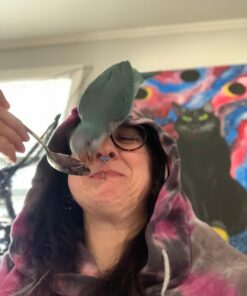 LAFEBER'S Sunny Orchard Nutri-Berries Pet Bird Food, Made with Non-GMO and Human-Grade Ingredients, for Parrots, 3 lb 3 Pound (Pack of 1) 25 81G0ex9Ka0L