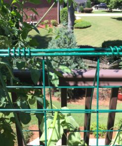 Gardeners Supply Company Deluxe Cucumber Trellis | Easy to Install Raised Garden Bed Cucumbers & Climbing Plants A-Frame Trellis | Outdoor Plant Support w/ 4" Grids for Easy Harvesting | 32"W x 46"H 17 81G1Wd8Yo9L 1