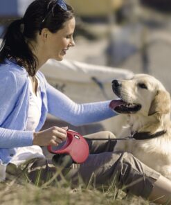 FLEXI New Classic Retractable Dog Leash (Cord), 26 ft, Small, Black Small Cord, 26-Feet 11 81G1csz2CQL