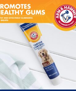 Arm & Hammer for Pets Tartar Control Enzymatic Toothpaste for Dogs | Reduces Plaque & Tartar Buildup | Safe for Puppies | Beef Flavor, 2.5 Ounces Dog Toothpaste Tartar Control - Beef 2.5 Ounce (Pack of 1) 24 81G45oqGx7L