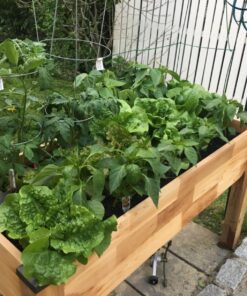 CedarCraft Self-Watering Elevated Cedar Planter (23" X 49" X 30") - Grow Fresh Vegetables, Herb Gardens, Flowers & Succulents. Raised Garden Bed for a Deck, Patio or Yard Gardening. No Tools Required. 23x49x30" 29 81G6YoMdmnL