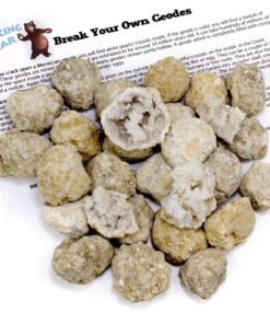 DANCING BEAR 25 Break Your Own Geodes, (Medium 1-1.5") 90% Hollow, Crack Open & Discover Amazing Surprise Crystals Inside! Educational Info and Instructions Included, Fun Party Favors & Prizes Medium (1-1.5") 27 81G84OnrSDL