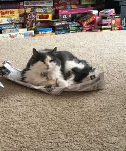 Comfort Zone Feliway Diffuser Refills for Cats and Kittens, 2 Pack 32 81G9zAwalrL