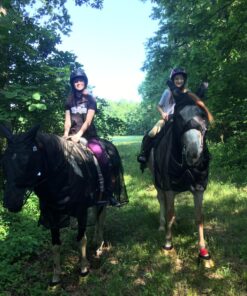 Cashel Quiet Ride Horse Fly Mask with Long Nose and Ears, Black, Horse 16 81GAPPNOSML