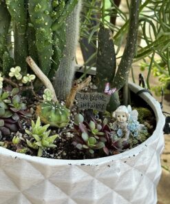 Georgetown Home & Garden Miniature Butterfly Sign We Believe in Fairies Garden Decor 19 81GBGJAxOsL