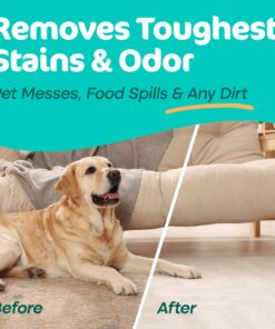 Carpet Miracle - Carpet Cleaner Shampoo Solution for Machine Use, Deep Stain Remover and Odor Deodorizing Formula, Use On Rug Car Upholstery and Carpets (32FL OZ) Spring Mint Scent 32 Fl Oz (Pack of 1) 34 81GD7c9WsmL