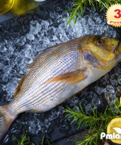 PMLAND Clear Acrylic Ice Rocks Crystals Gems - 1 Inch Length 3 lbs Bulk Bag for Vase Filler Table Scatter Party Wedding Arts Crafts Decoration Display Idea 27 81GIBqRFoiL