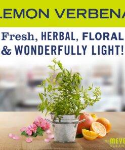 Alternative view of Mrs. Meyer's Clean Day Scented Soy Aromatherapy Candle, 35 Hour Burn Time, Made with Soy Wax, Lemon Verbena, 7.2 oz