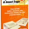 TERRO T3200 Spider & Insect Trap - 4 traps (not available for sale in NM) 10 81GN8P6tKPL