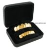 NIV'S BLING - Iron and Velvet Universal Grillz Storage Box for Regular Sized Grillz 8 81GNOctzlrL