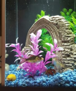 Fluval SPEC Freshwater Aquarium Kit, Aquarium with LED Lighting and 3-Stage Filtration, 2.6 Gallon, Black, Large Breeds 2.6 Gal. 67 81GPJzDp0fL