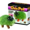 Chia Pet Puppy with Seed Pack, Decorative Pottery Planter, Easy to Do and Fun to Grow, Novelty Gift, Perfect for Any Occasion 14 81GTpiwfvWL
