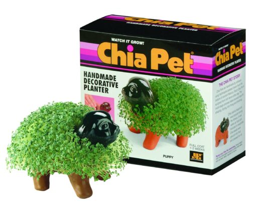 Chia Pet Puppy with Seed Pack, Decorative Pottery Planter, Easy to Do and Fun to Grow, Novelty Gift, Perfect for Any Occasion