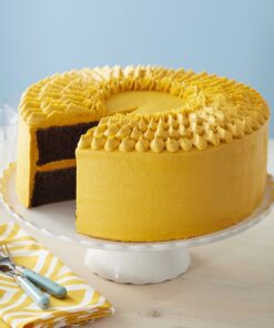 Wilton Cake Icing Smoother 26 81GY0jtjZpL