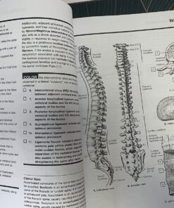 Alternative view of Netter's Anatomy Coloring Book (Netter Basic Science) Paperback