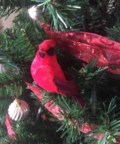 Gallerie II Cardinal Birds Clip Christmas Xmas Ornament A/2 Red 13 81GZDsRaZJL