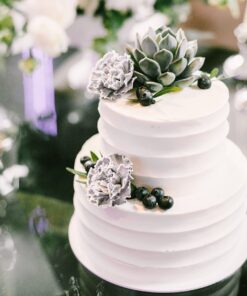 Shop Succulents Unique Succulent Plant Pack Bulk Collection - Live Mini Succulent Plants, Low Maintenance, Exceptional Colors & Textures - Wedding and Party Favors, Gift & Garden, Pack of 20 20-Pack Succulent Packs 38 81GbNb8efmL