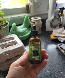 Go Nutrients Intestinal Edge Gut Detox Cleanse for Humans: Enhance Digestive Health, Boost Energy, Clear Skin with Black Walnut, Wormwood, Clove & Gentian Root for Adults & Kids 2oz Liquid Drops 35 81GcZ97o4fL