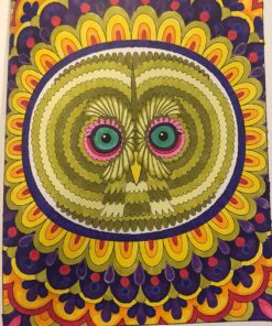 Groovy Owls Coloring Book (Coloring is Fun) (Design Originals) 32 Adorable Art Activities with Quiet, Stoic, Wise, and Happy Owls, plus Beginner-Friendly Advice, Techniques, Color Choices, & Examples Paperback, Coloring Book 51 81Ge060kBSL