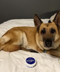 Musher's Secret Dog Paw Wax 60 g (2.1 oz) - Moisturizing Dog Paw Balm that Creates an Invisible Barrier That Protects and Heals Dry Cracked Paws - All-Natural with Vitamin E and Food-Grade Ingredients 2.1 Ounce (Pack of 1) 48 81GjQK omL